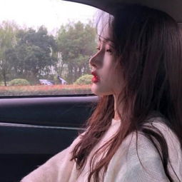 炫龙记vip变态版下载